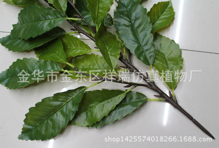 XRB-119栎树叶四叉枝31叶4