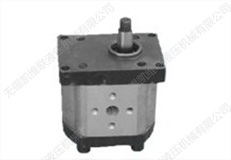 CBN-G325-BFPR,齿轮泵