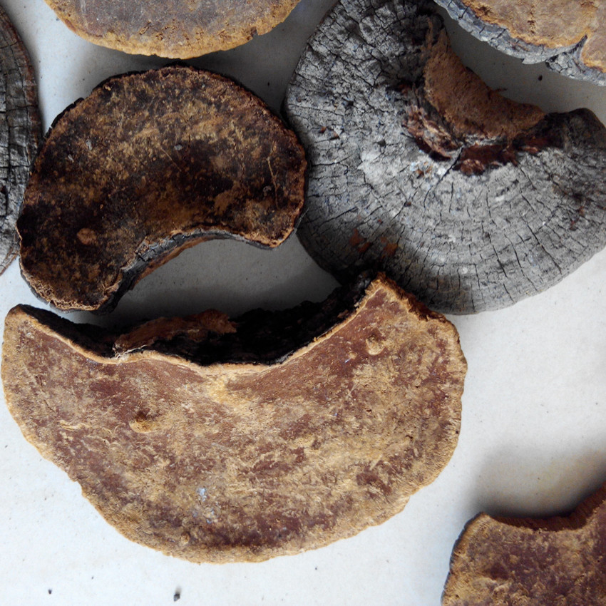 IMG_20151125_123421_副本