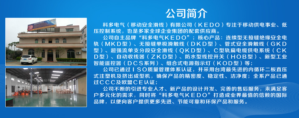 公司簡(jiǎn)介副本