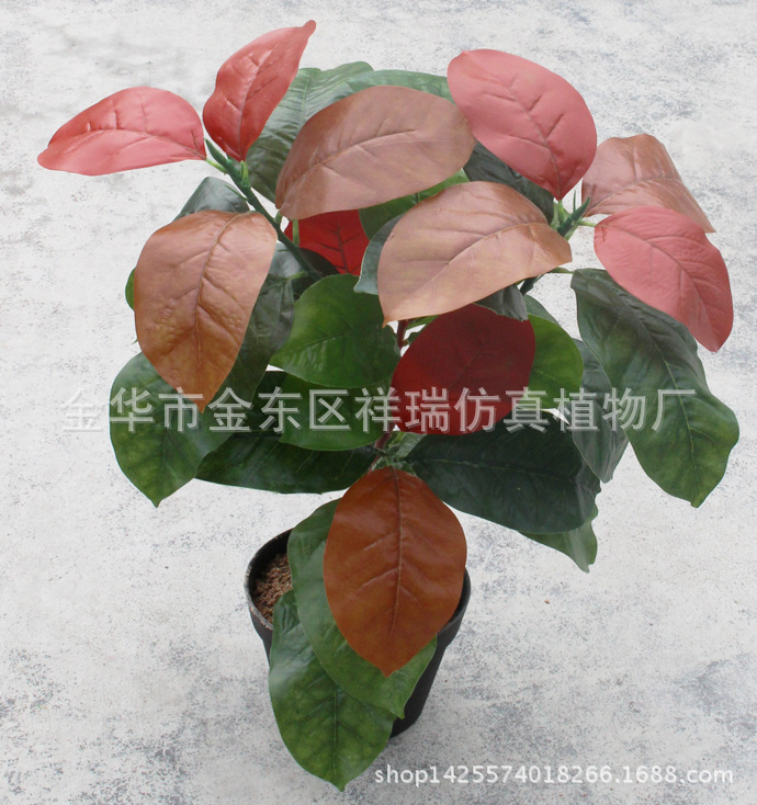 XRB-102秋高榕叶五叉支40叶60厘米盆