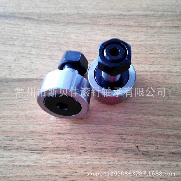 生产直销 E-BPF27-d10-PP  轴承  E-BPF28-d10-PP 凸轮轴承随动器