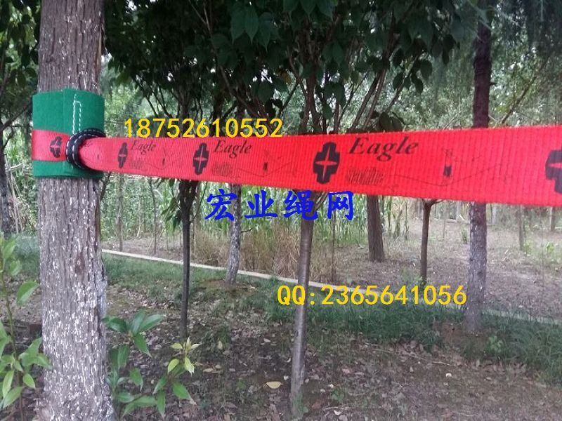 QQ圖片20150622185552