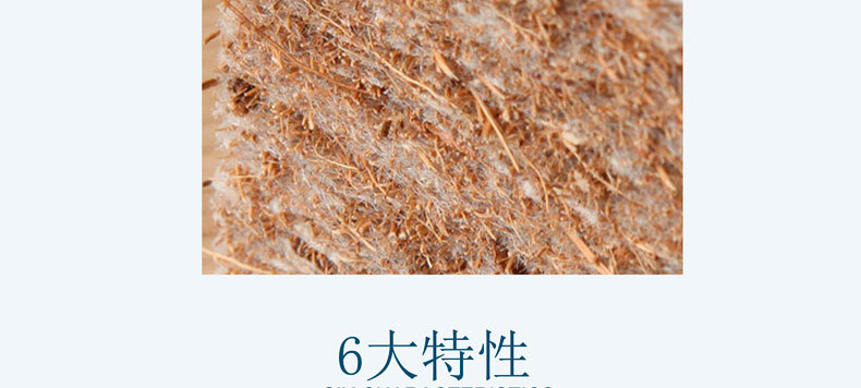 全樣板3-2_05