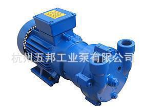 供应2BV水环真空泵   专业2BV水环真空泵   2BV2061水环真空泵