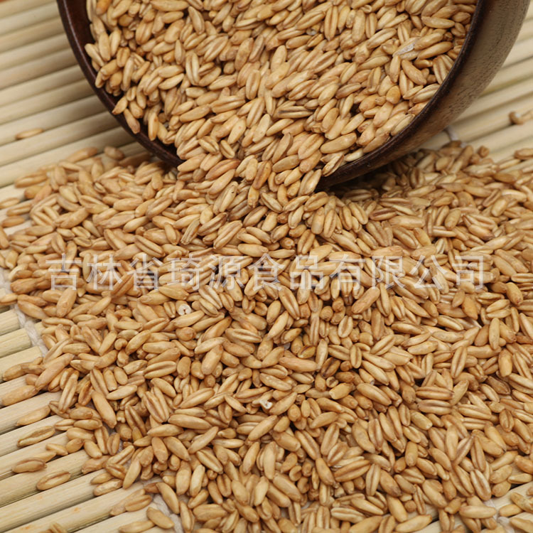 Low Temperature Baked Rolled Oats Bulk Whole Grain Oatmeal for Porridge and Baking key features