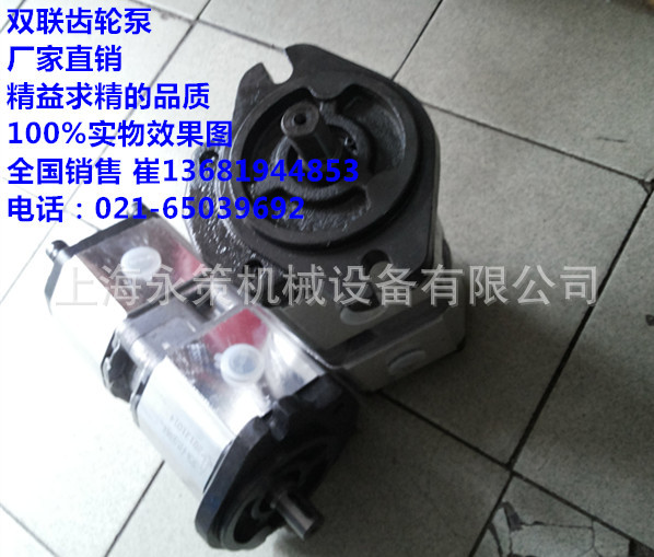 双联液压高压齿轮油泵HGP-3A/进口油泵 /异性非标泵 工业泵
