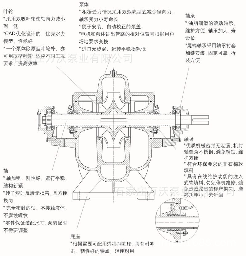 KQSN大流量单级双吸中开泵 双吸离心泵厂家