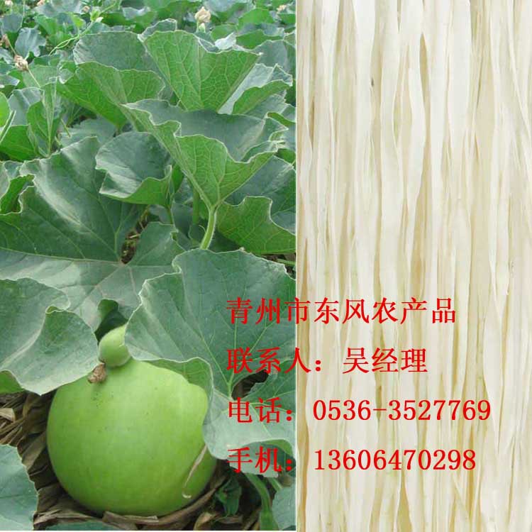 供应当季新鲜干瓢、干瓢段、细干瓢、低硫干瓢-青州东风农产品