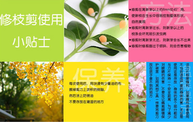 2345截图20150326083112