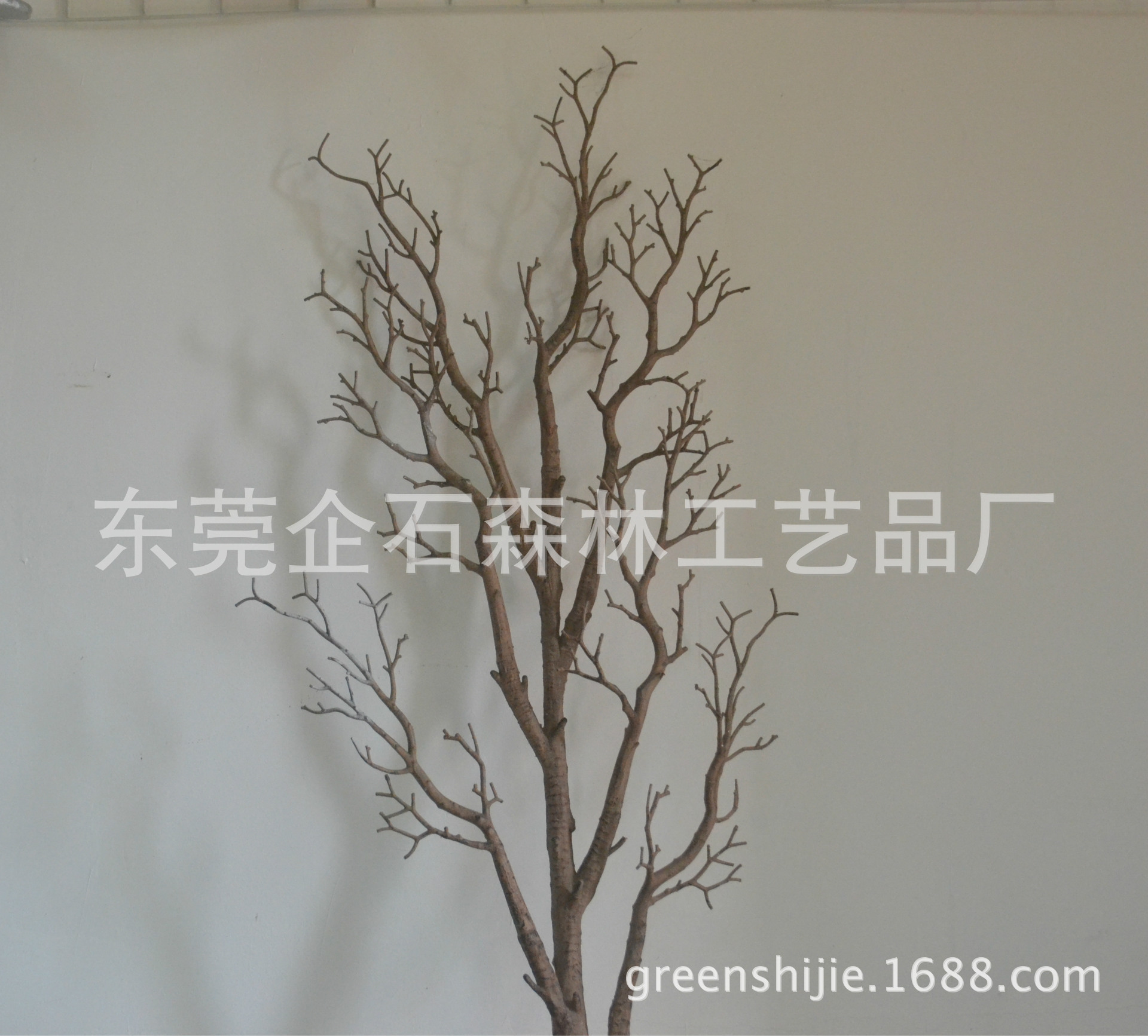 高树枝,_大山谷图库