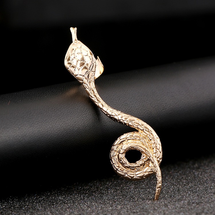 Snake-shaped Punk Alloy Ear Clip display picture 2