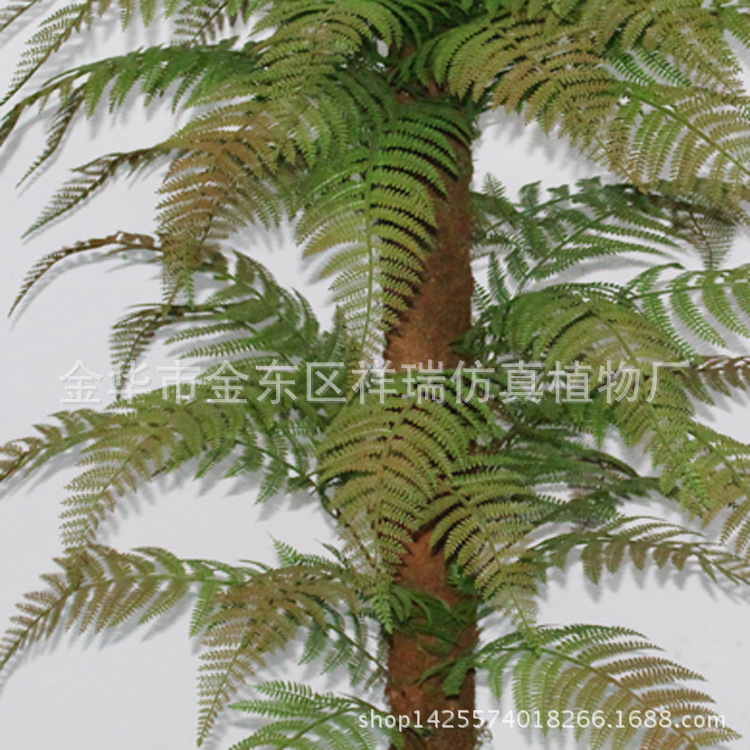 XRS-041单杆桫椤叶树55叶110厘米3