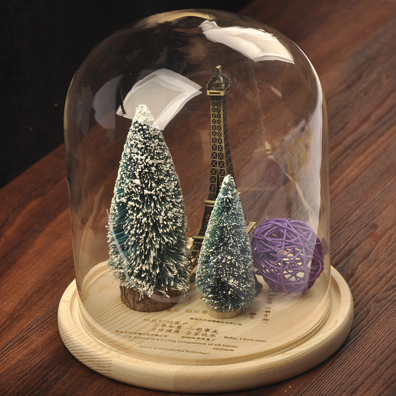 Mxmade vidrio creativo paisaje cubierta DIY micro vidrio cubierta micro paisaje florero nuevo exótico