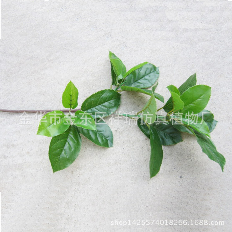 XRB-095梨叶三叉支27叶60CM单枝