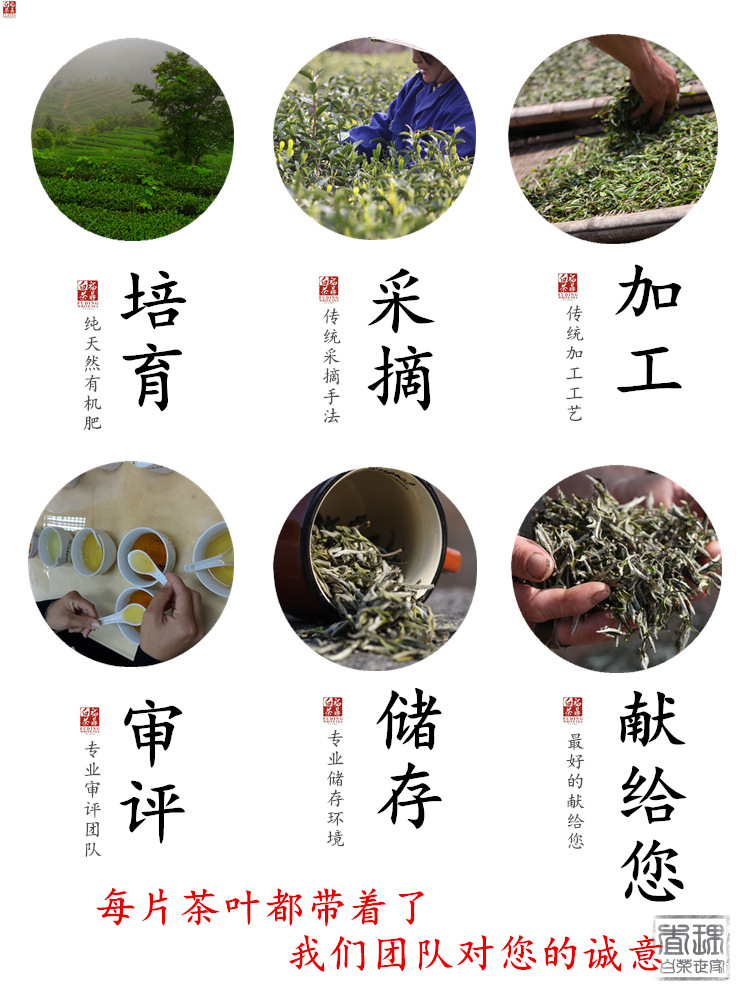 简介
