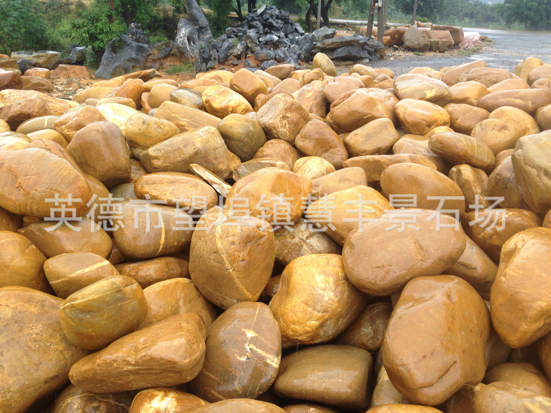 大量批发大小型黄腊蜡石，适用于园林景观和草坪石