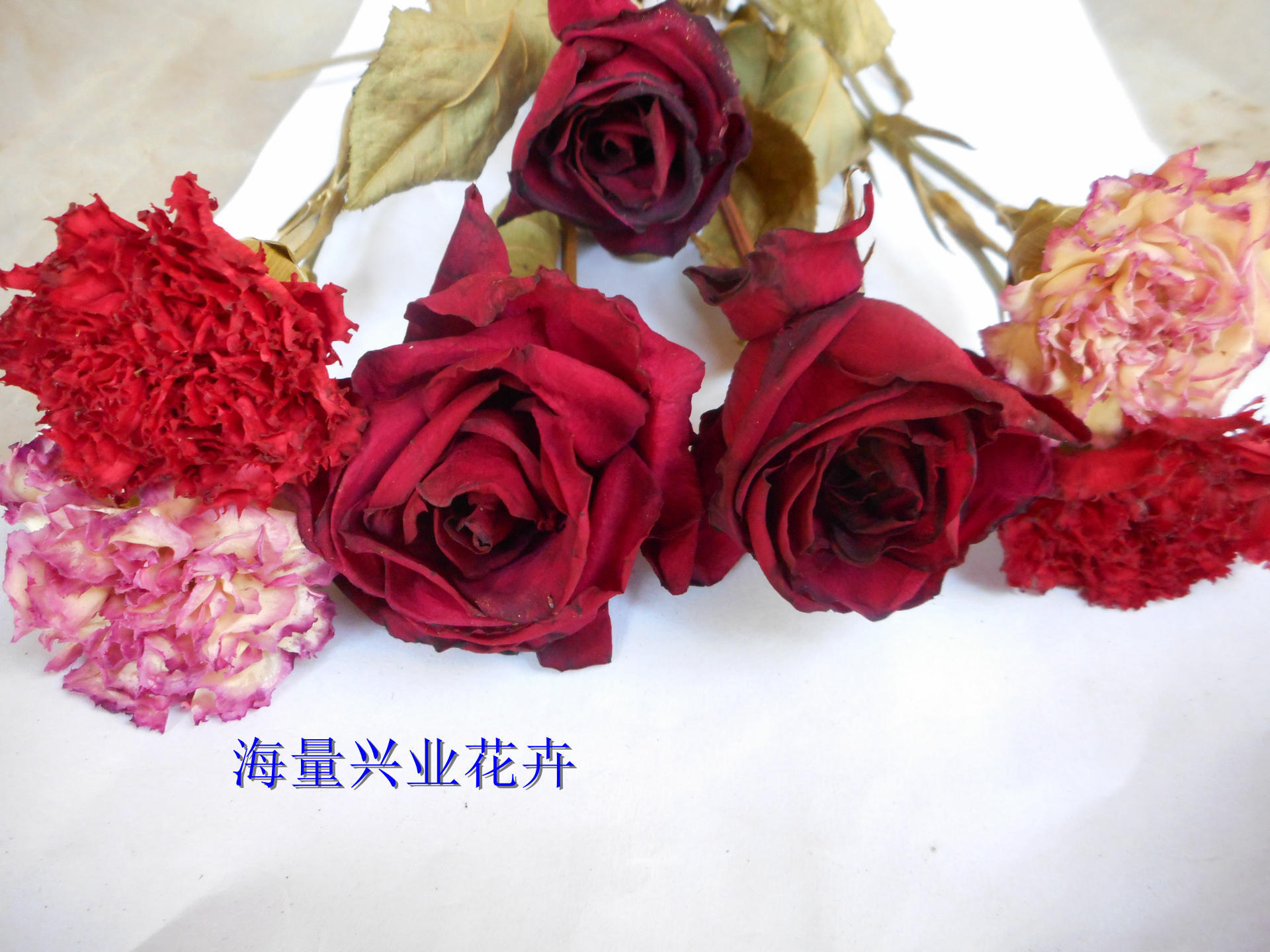 玫瑰 水华 干花 纹理 干 浪漫 情人节 花 花的 花瓣图片免费下载 - 觅知网