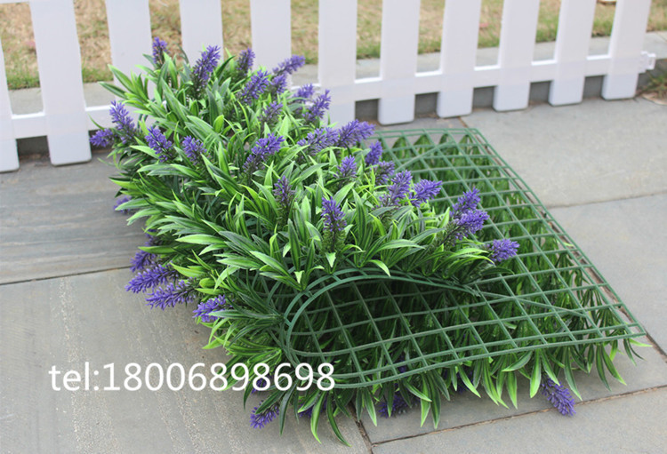 IMG_4870_副本_副本_副本_副本