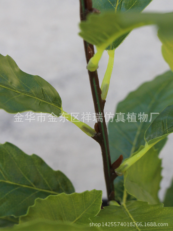 XRB-122夏栎叶四叉枝立体30叶55厘米5