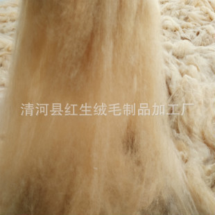 �S�ҹ����q���z�⹤ˇ̎�������q�����sˮ����荽q