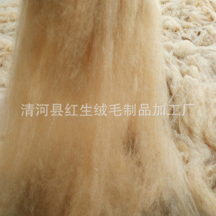 Manufacturers supply camel velvet
