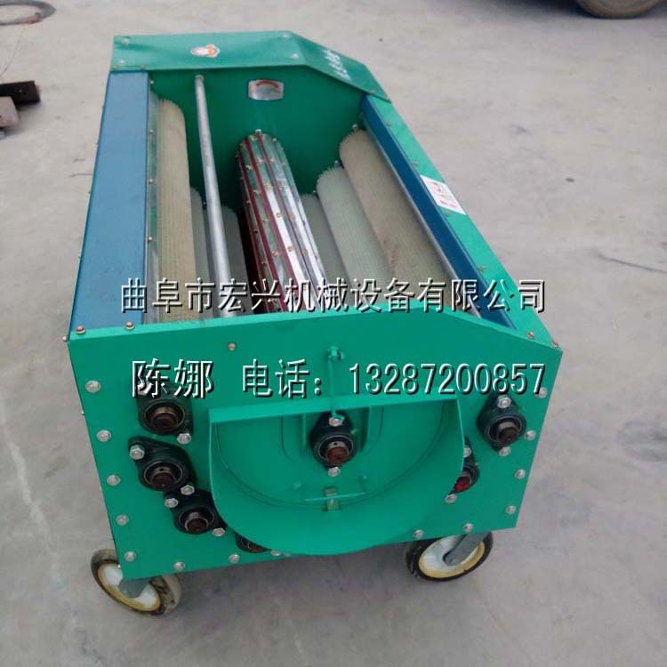 核桃去皮清洗设备 毛辊清洗机 专业去皮清洗机械