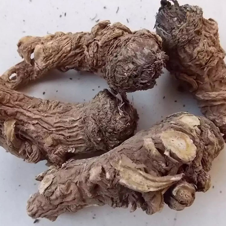 岷县当归_岷县野生当归 全当归片当归粉50克美