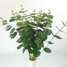 20�^�ȼ����������҃Ȉ������÷���ֲ��Gֲ�������X�ݏS��ֱ�N