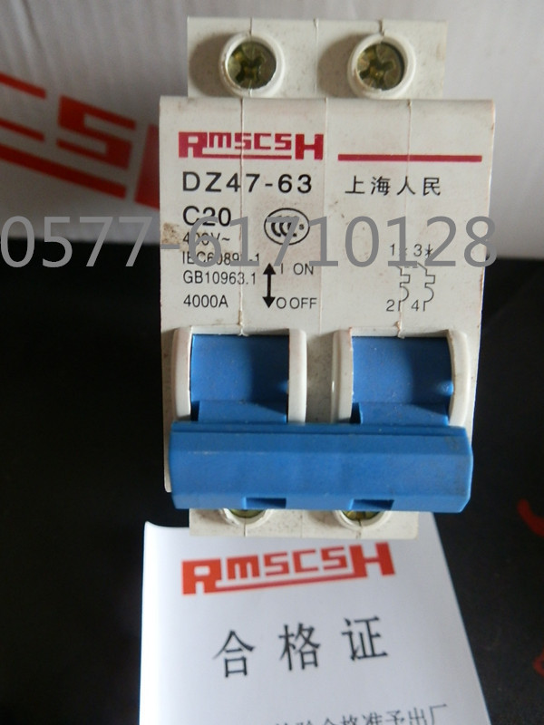 小型断路器DZ47-63/2P C/D 6A 10A 16A 20A 25A 32A 40A 50A 63A