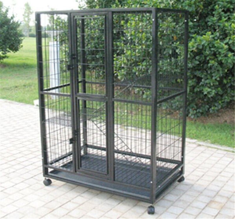 QQ图片20150709142527