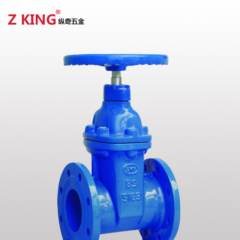 广州华侨 RVHX/Z45X 球墨铸铁法兰弹性座密封闸阀 暗杆软密封