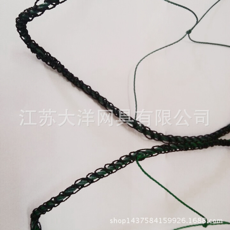 聚乙烯网 农业用网 厂家生产 大洋网具