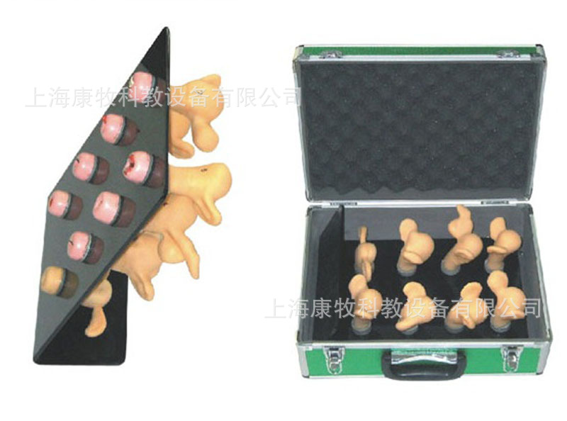 高级子宫宫劲病变模型（8件）