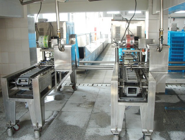 红油豆腐乳生产线