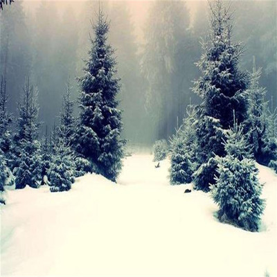 上海 FUNA 供应吸水人造雪 人造雪批发 人造雪粉人工造膨胀 假雪|ru