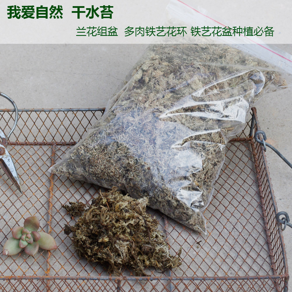 干水苔 3A兰花组盆 多肉培养微景园艺立体绿化 一袋50G|ru