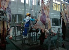 牛扯皮机,牛扒皮剥皮扯皮效果好牛机械液压式扯皮机