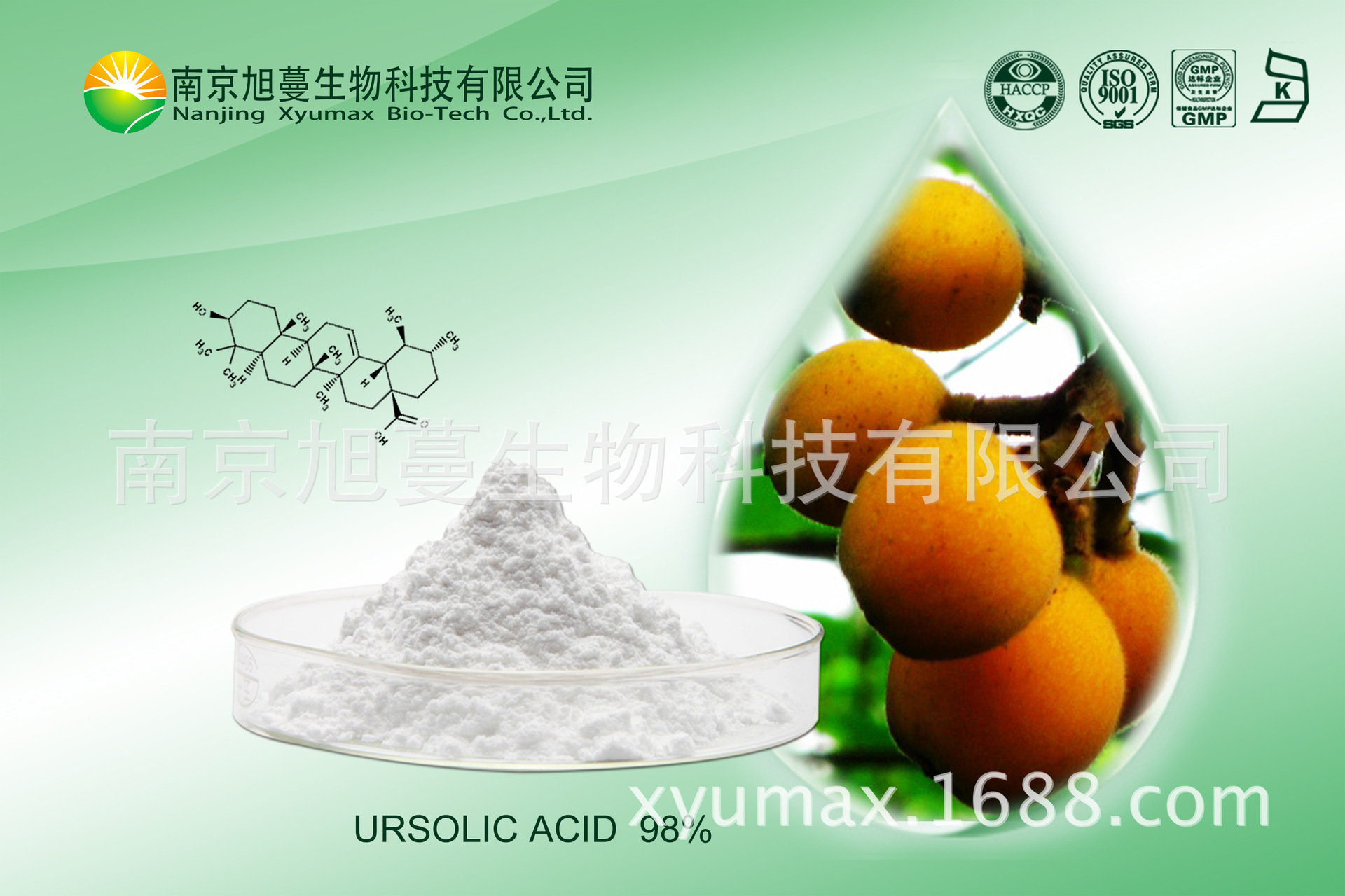 熊果酸98% 枇杷3