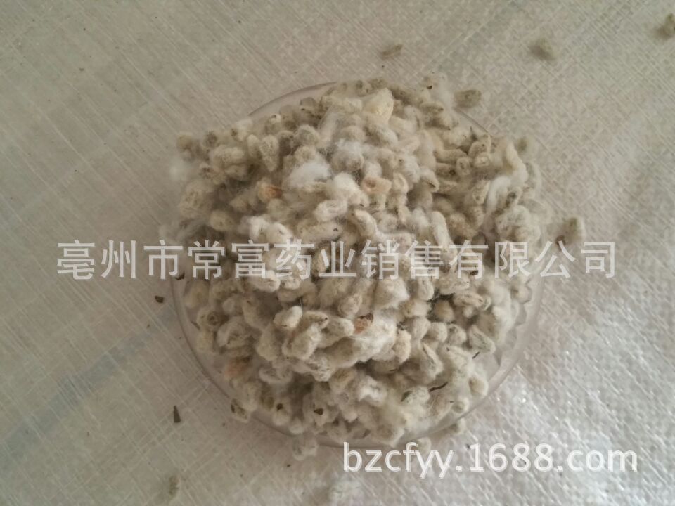 Cotton Seed Mian Zi 500g Dried Whole Seeds for Culinary and Traditional Herbal Use preparation