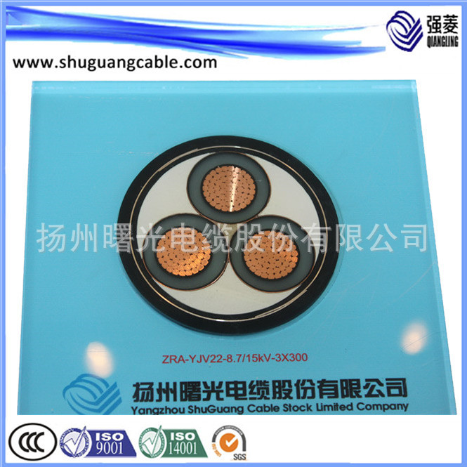 曙光电缆 强菱牌 YJV22  铜芯 国标电力电缆