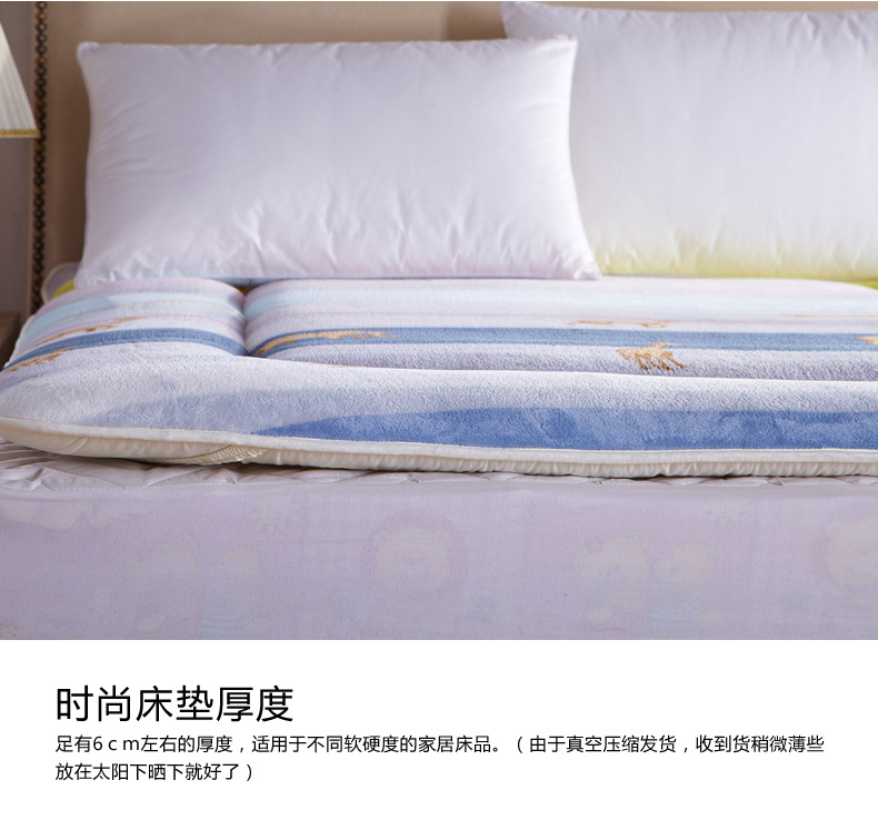 法萊絨印花床墊5_18