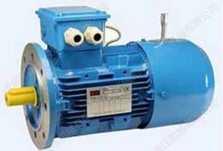 MSEJ100L2-4-3KW,三相异步制动电动机