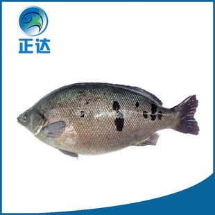 ���ތ�ʯ���~�� ���ع����~�����l��ˮ�~ ��ʯ���~��F؛�������w