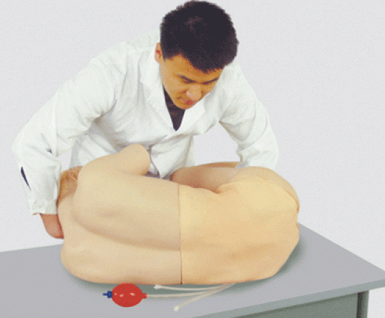 腰椎穿刺训练模型
