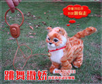 【猫小跳】_猫小跳
