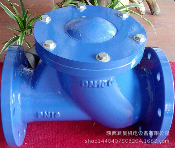 铸铁球形止回阀HQ41X-16滑道滚球式止回阀 污水止回阀