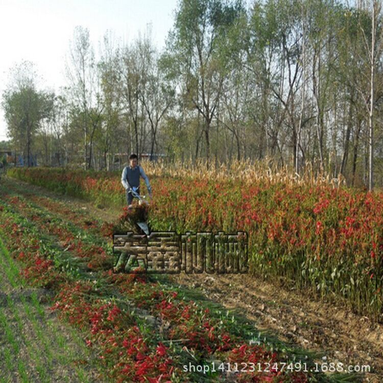 QQ图片20150708102723