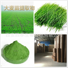 ȡ  ȡ101 Barley Grass Extract