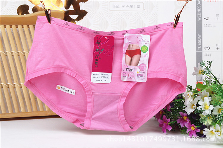 Slip jeunesse LARAINE en coton - Ref 644225 Image 15